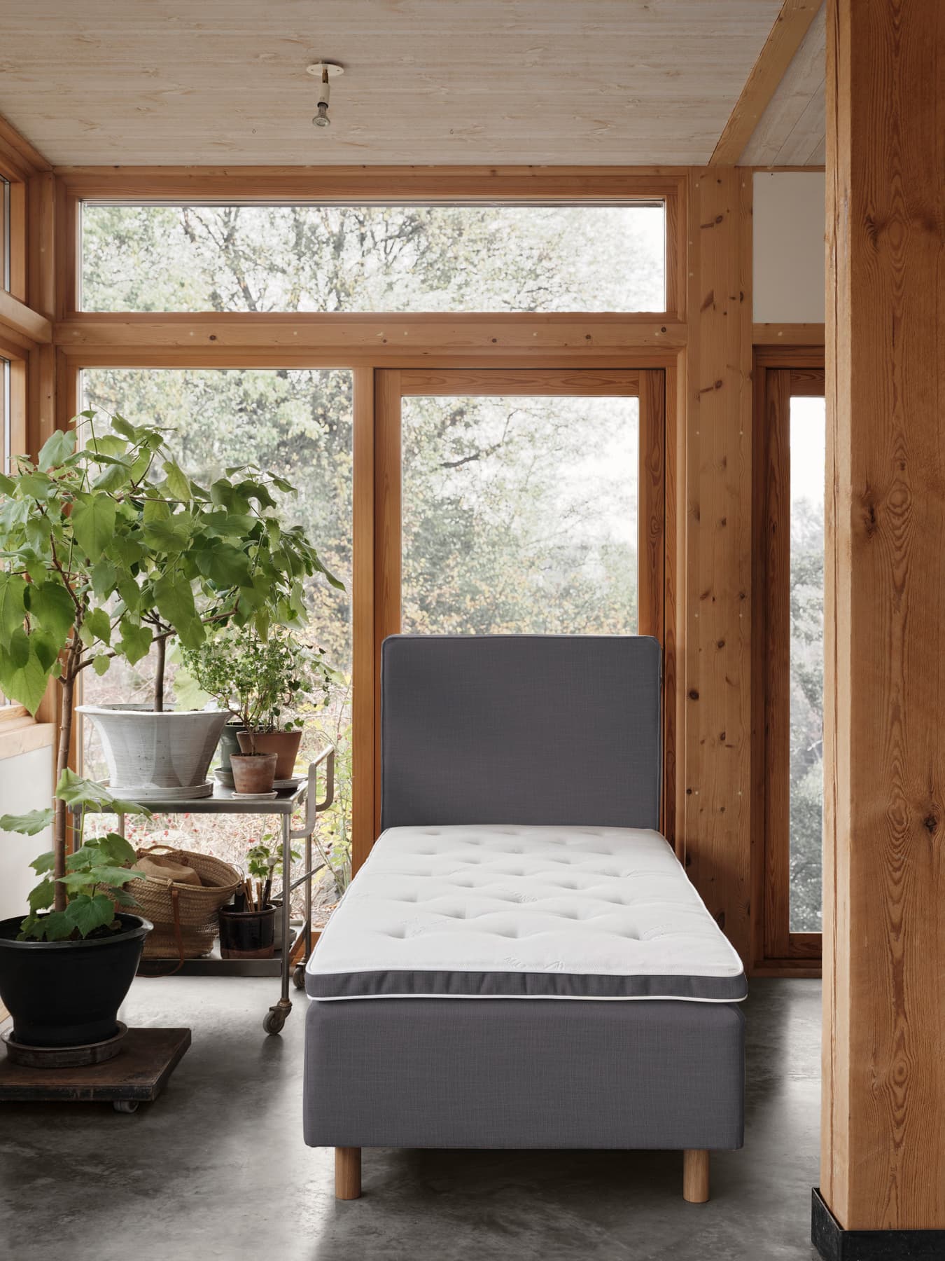 Dino Frame Bed Medium Linen